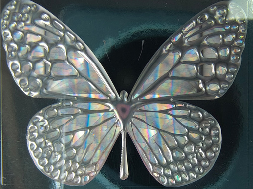 多重透鏡_20241219_17346144673134890